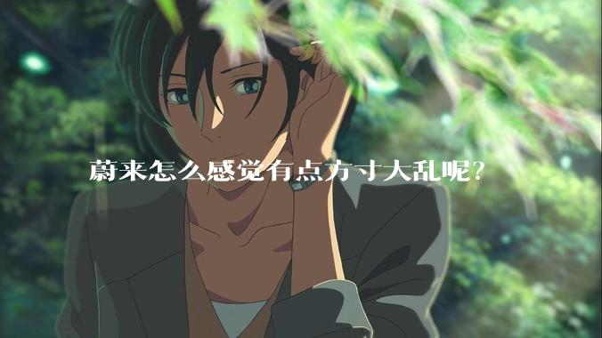 蔚来怎么感觉有点方寸大乱呢？