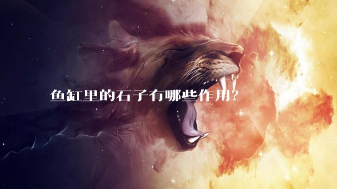 鱼缸里的石子有哪些作用？