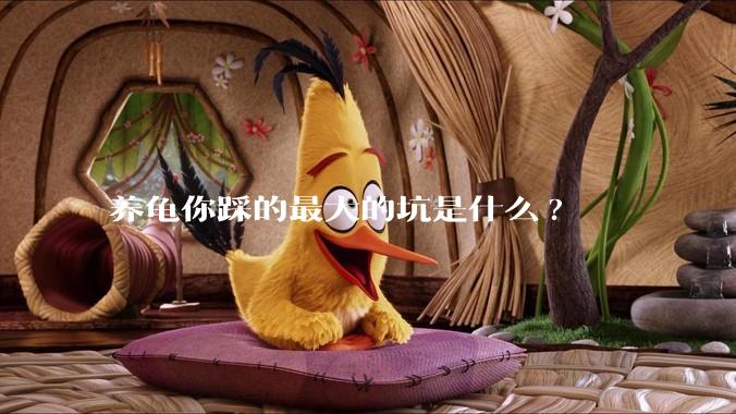 养龟你踩的最大的坑是什么?