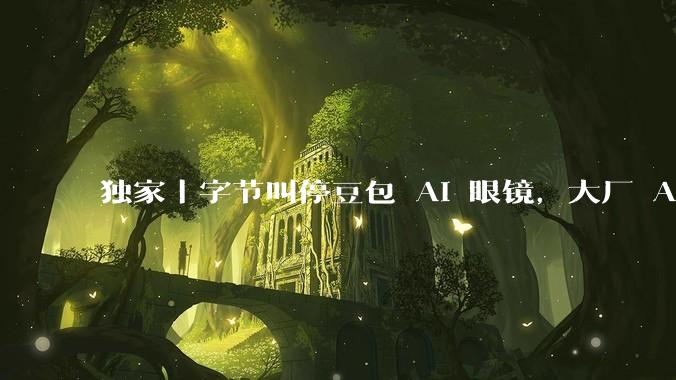 独家｜字节叫停豆包 AI 眼镜，大厂 AI 硬件进入祛魅时刻_项目_Meta_入口