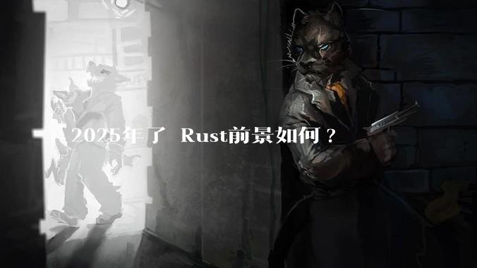2025年了 Rust前景如何?