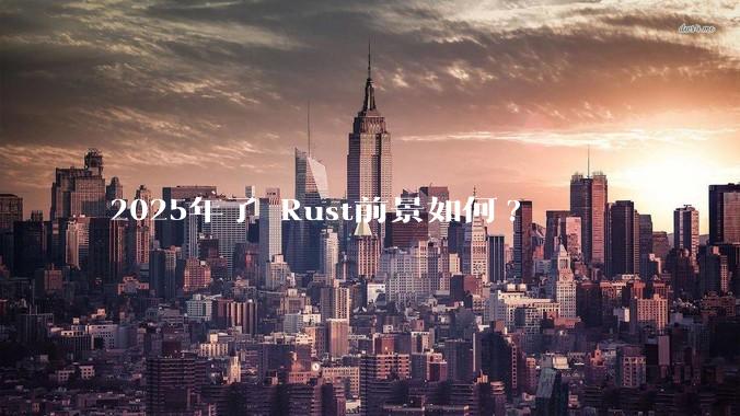 2025年了 Rust前景如何?