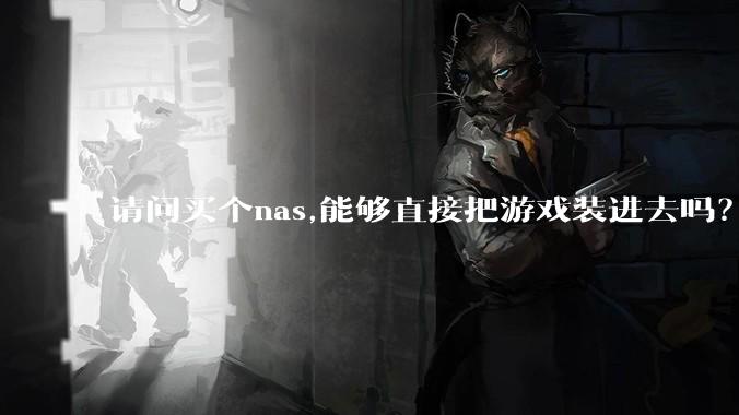 请问买个nas,能够直接把游戏装进去吗？