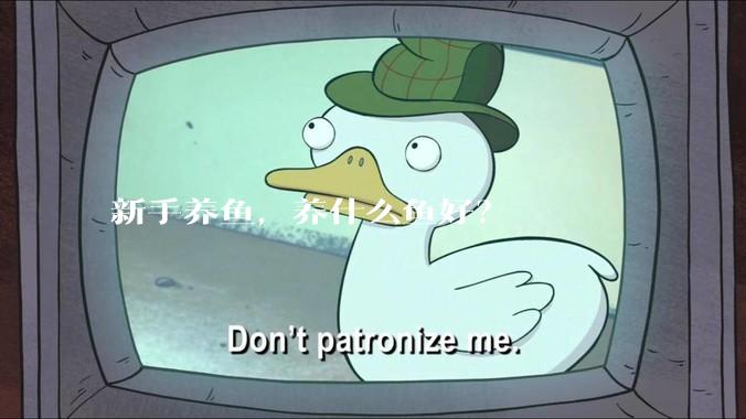 新手养鱼，养什么鱼好？