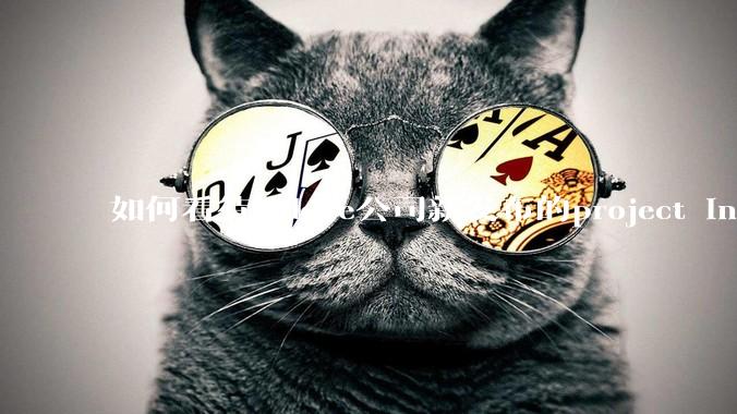 如何看待Adobe公司新发布的project indigo ***?与安卓的谷歌相机孰优孰劣？