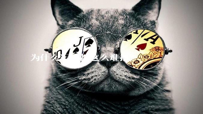 为什么运维都这么难招？