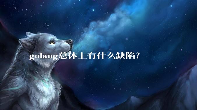golang总体上有什么缺陷？