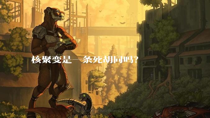 核聚变是一条死胡同吗？