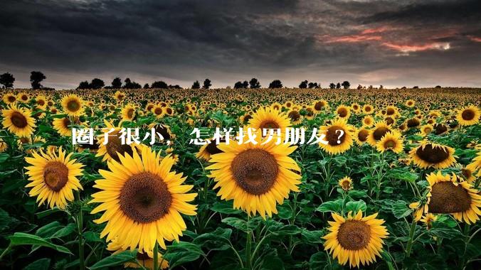 圈子很小，怎样找男朋友?