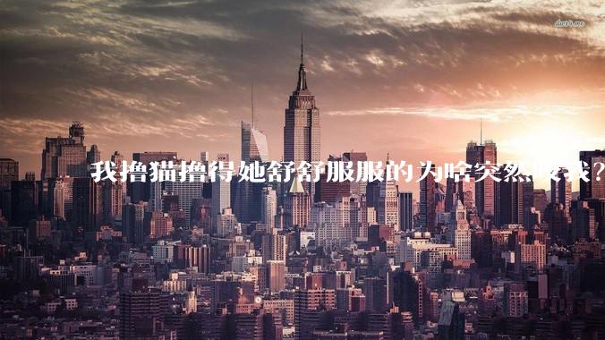 我撸猫撸得她舒舒服服的为啥突然咬我？