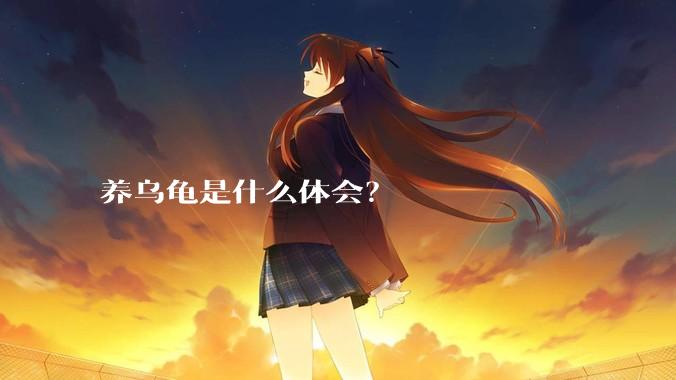 养乌龟是什么体会？