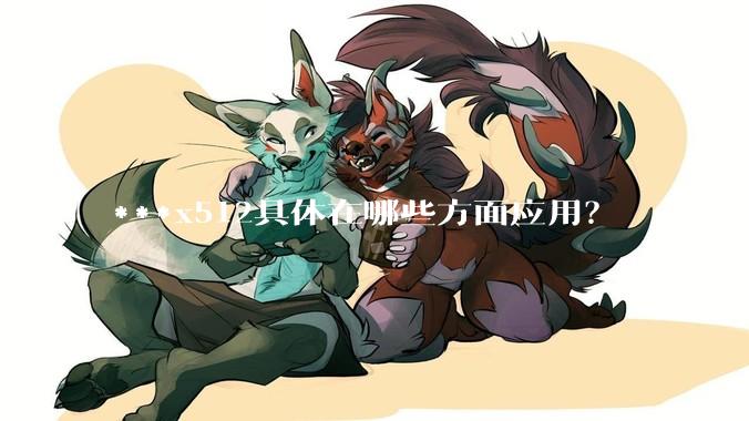 ***x512具体在哪些方面应用？