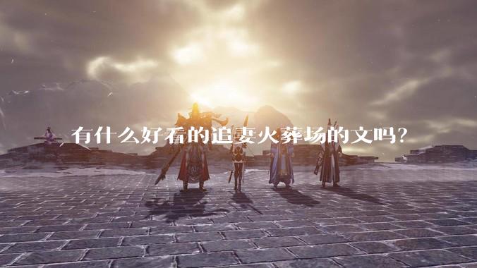 有什么好看的追妻火葬场的文吗？